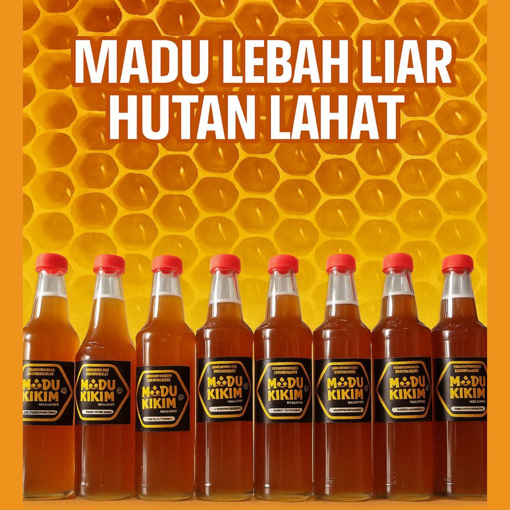 

Madu Lebah Liar Dari Hutan Lahat - Bermanfaat Menjaga Imunitas Tubuh Cocok Untuk Semua Usia
