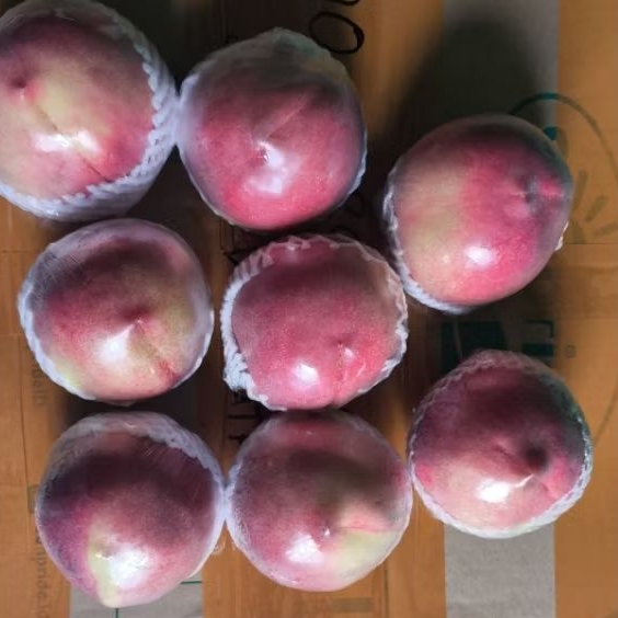 

Buah peach white import super segar jumbo 1 kg
