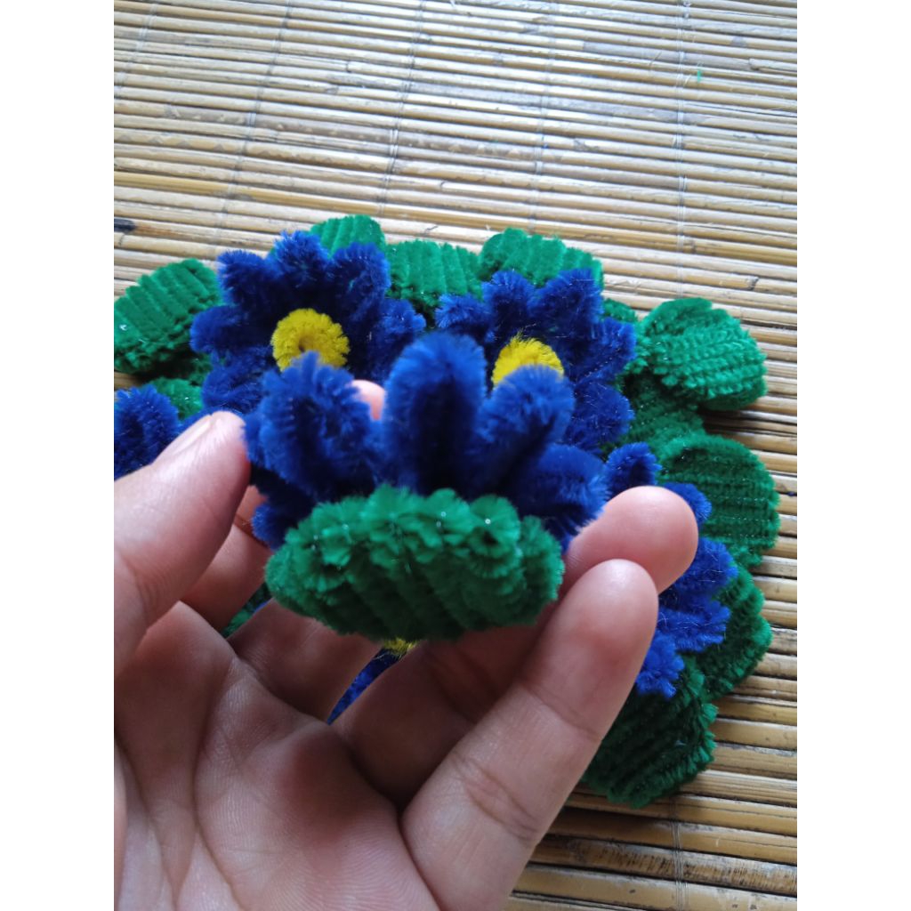 Duit Turus Kawat Bulu