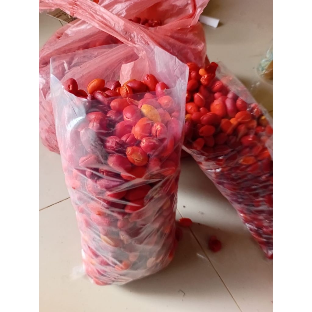 

Kulit Melinjo Segar l Melinjo Super 1Kg Asli 100% Original