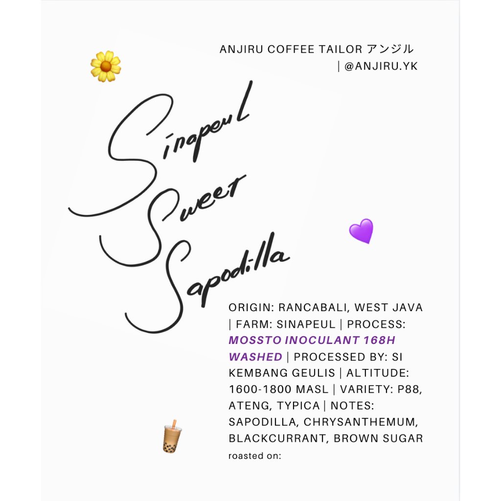 

Sinapeul Sweet Sapodilla - Kopi Arabika Sinapeul West Java Mossto Inoculant 168 Hours Washed - Single Origin Filter Roast (BIJI/BUBUK)