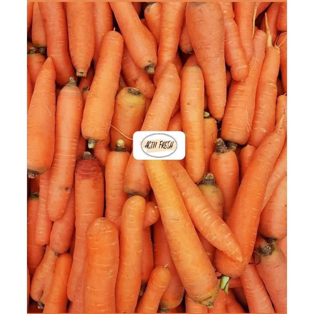 

[BOGOR/CIBINONG] WORTEL BERASTAGI 500GR