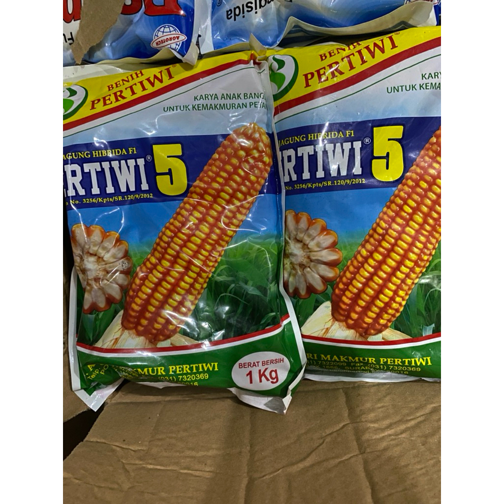 Benih jagung hibrida PERTIWI 5 kemasan 1KG