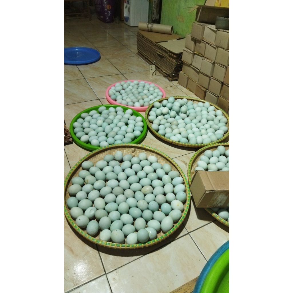 

telur asin Masir dan berminyak