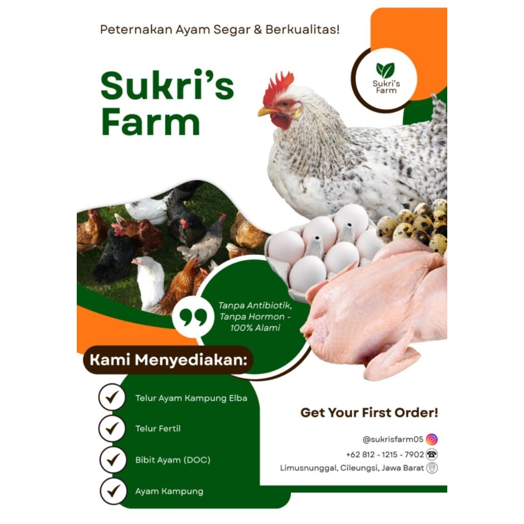 Telur Ayam Elba Fertil