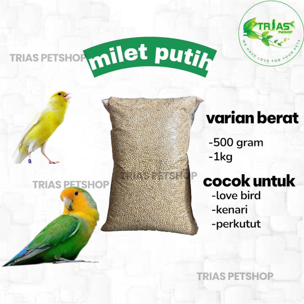Biji milet putih/Milet putih/Pakan burung/Pakan lovebird/Pakan kenari/Pakan perkutut/Milet putih 1kg