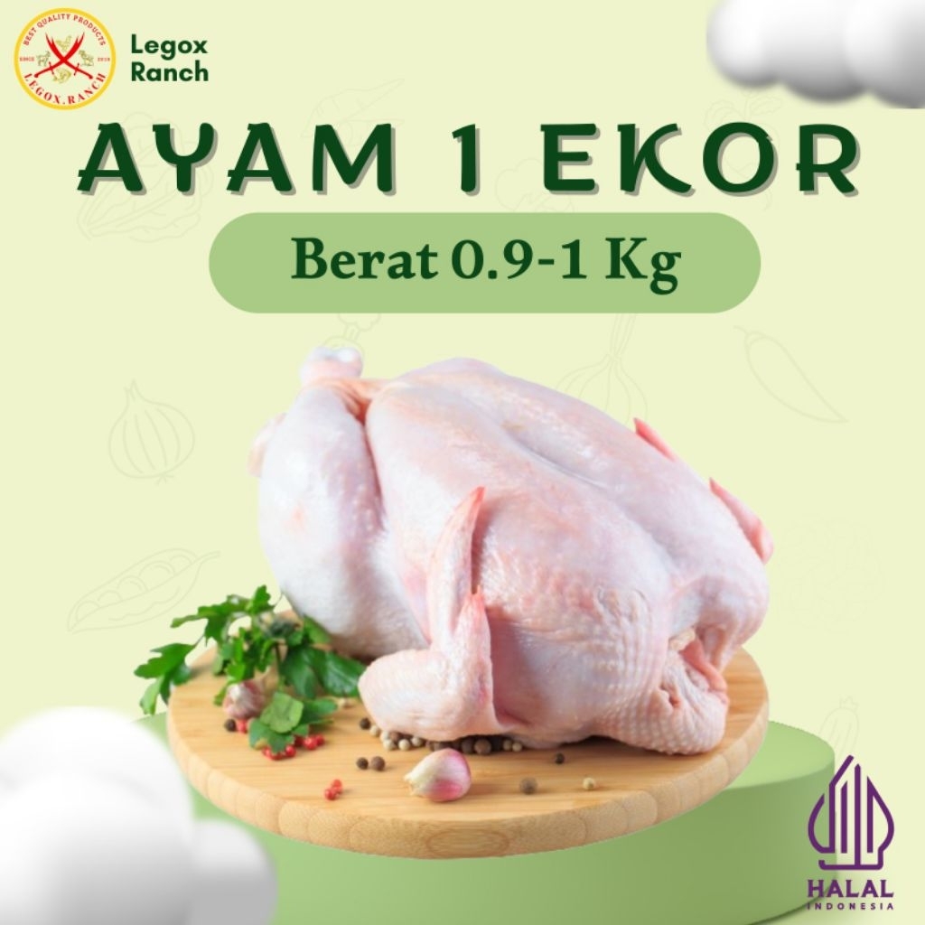 

Daging Ayam FRESH FROZEN Ukuran 0.9 - 1 Kg
