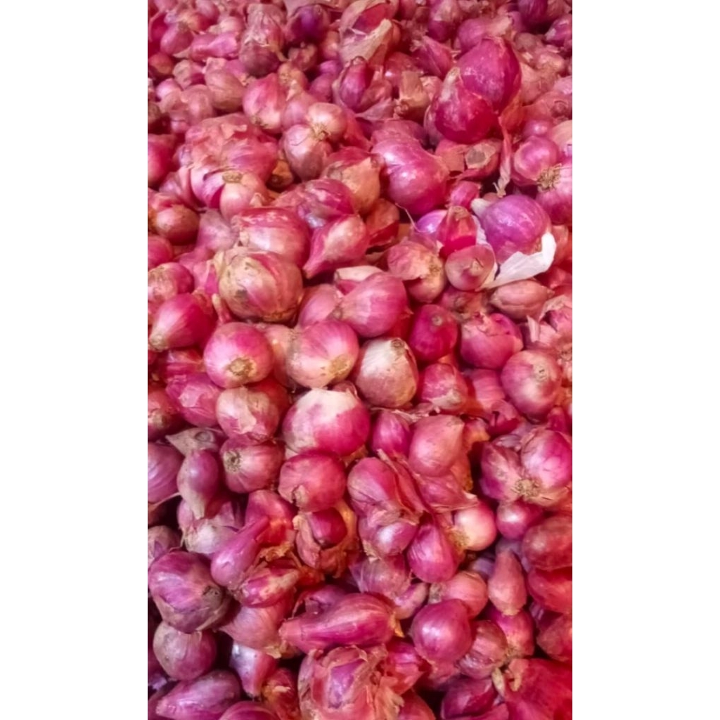 

Bawang merah 1 kg
