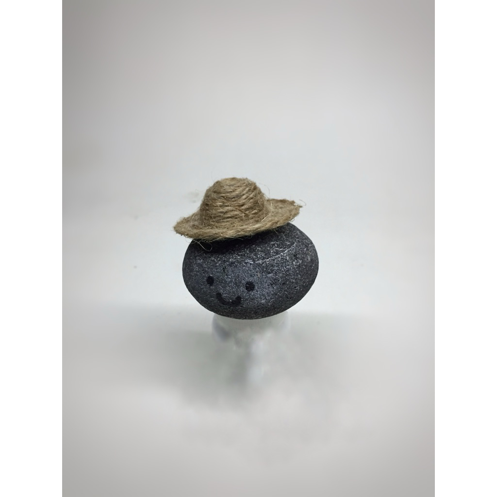 Pet Rock atau Batu Peliharaan