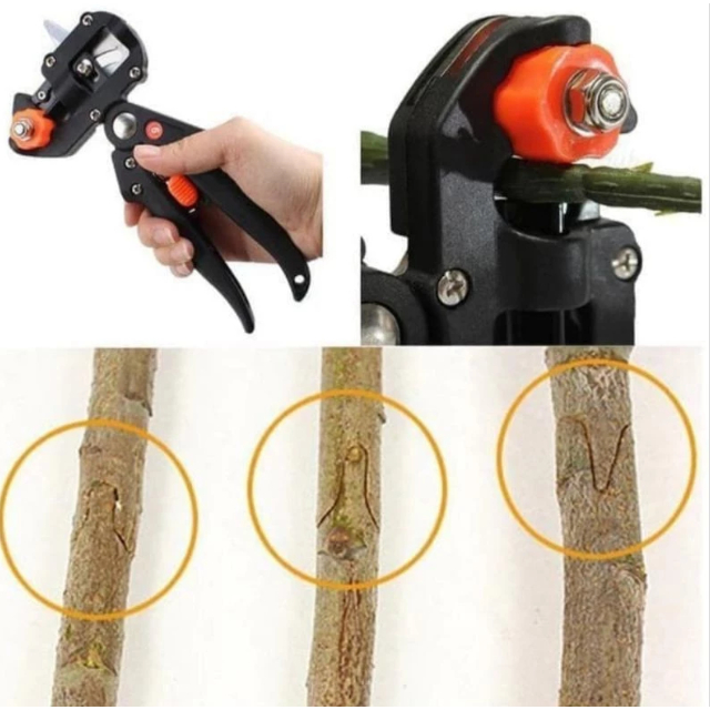 Gunting Okulasi Grafting
