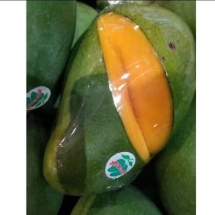 

mangga harum manis Lily | matang pohon 1kg