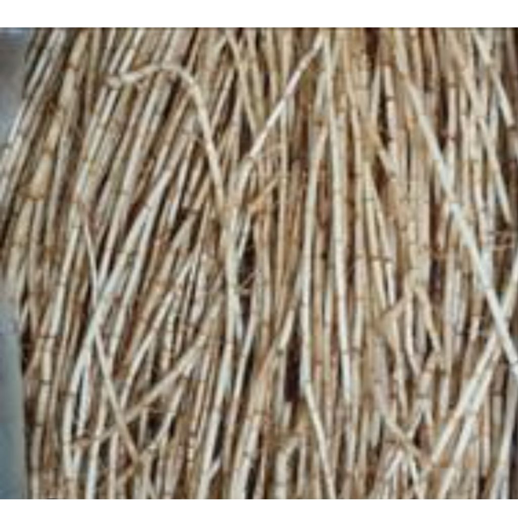 

akar alang alang segar1kg