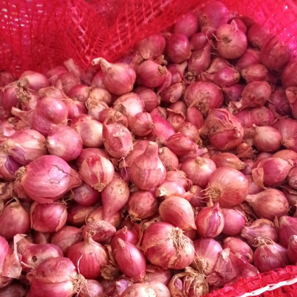 

Bawang merah 1kg