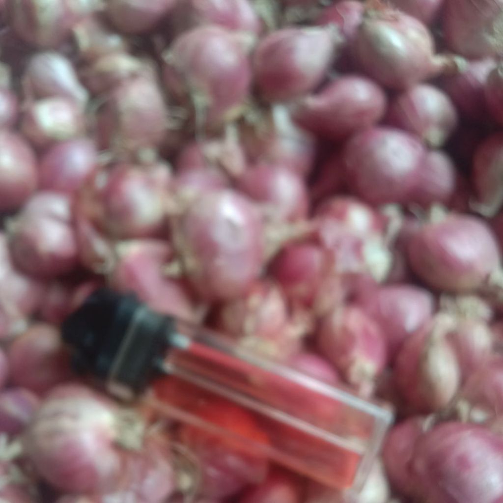 

Bawang merah lokal ukuran besar @1kg