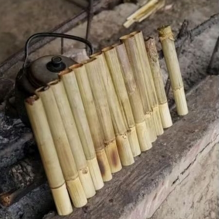 BAMBU LEMANG/BAMBU BAHAN LEMANG