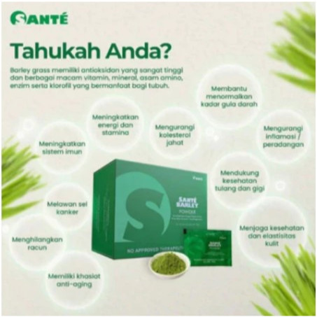 

Sante Barley Powder Pure ASLI