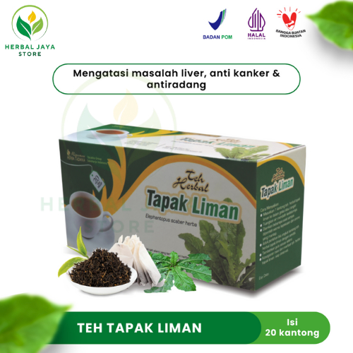 

Teh Celup Tapak Liman Tazakka Daun 20 Kantong Tea Bag Obat Liver Anti Kanker Antiradang