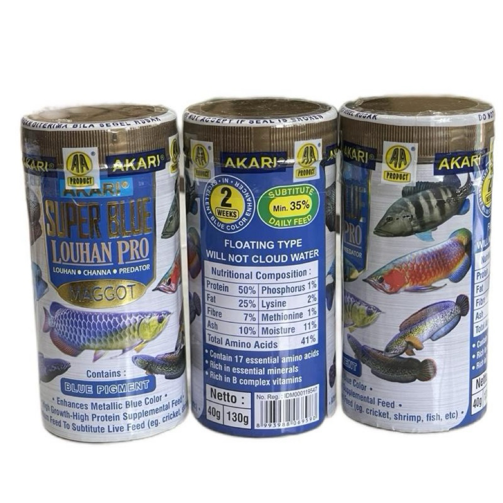 maggot super blue cocok untuk louhan channa arwana