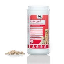 Cafortan Suplemen dan Multivitamin untuk Anjing 1000gr