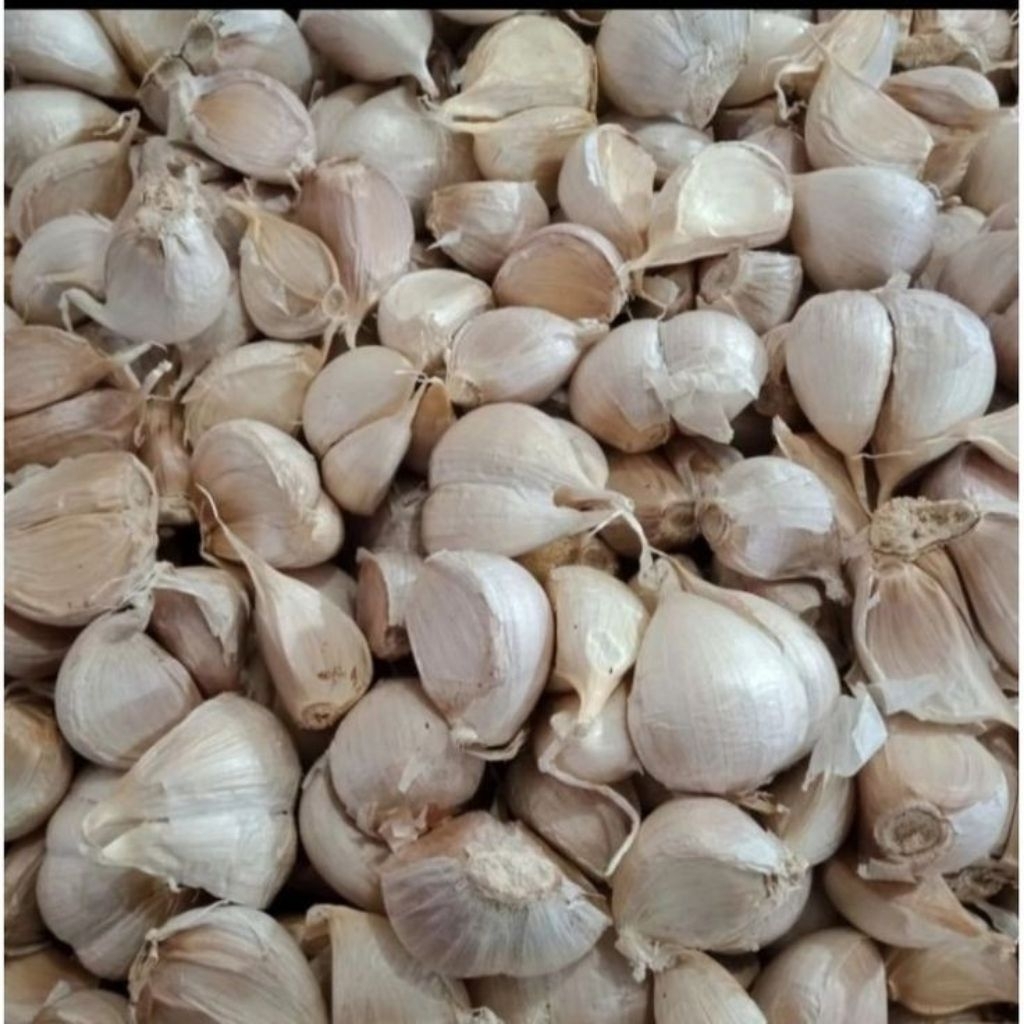 

Bawang putih Kating Super 1kg