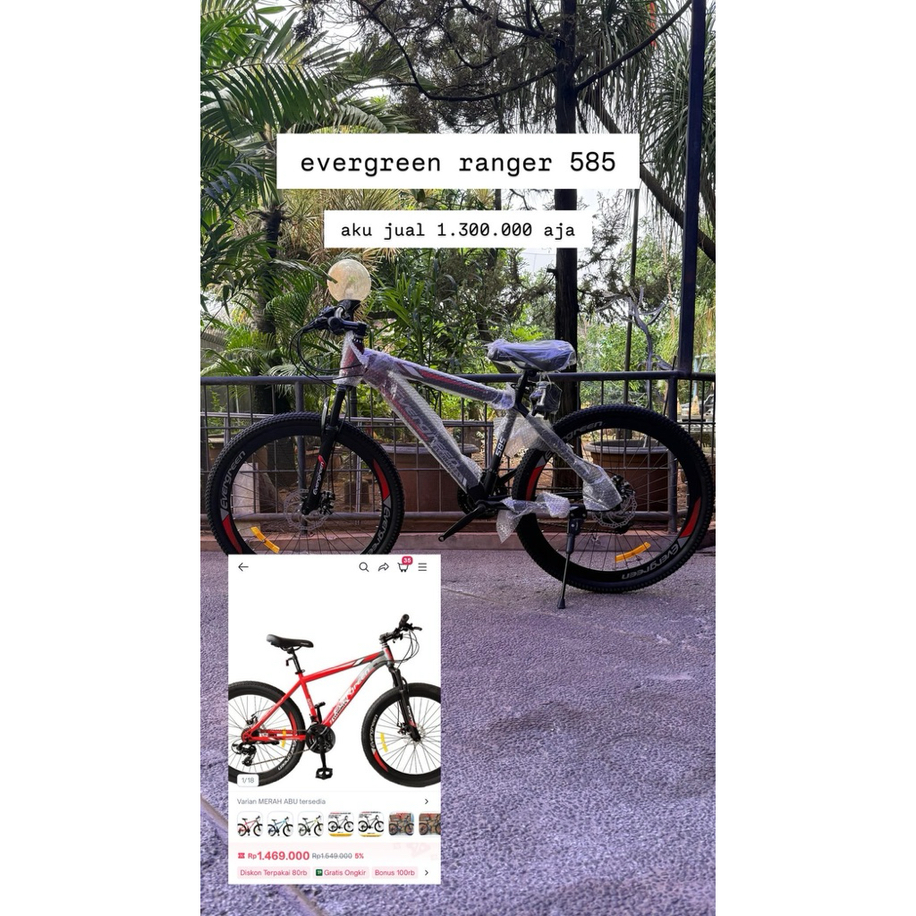 evergreen sepeda