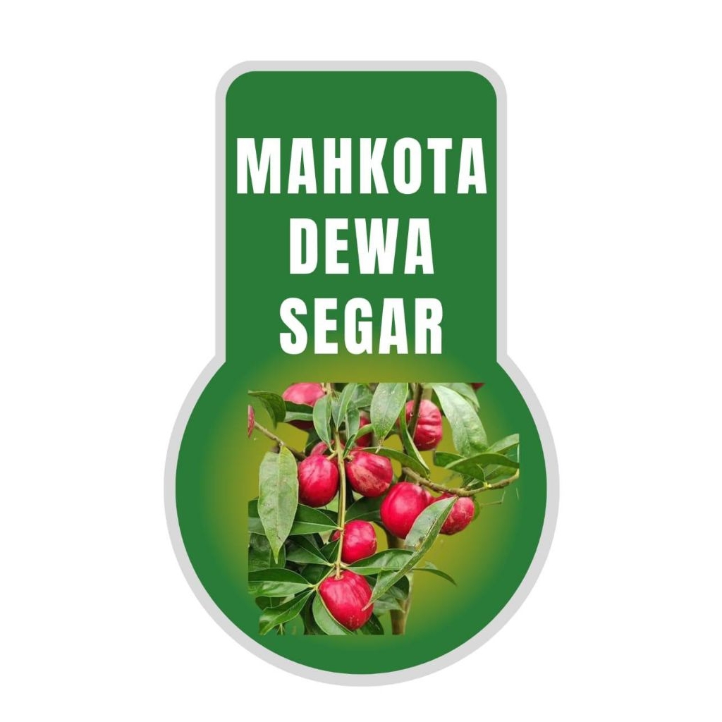 

Buah mahkota dewa merah segar