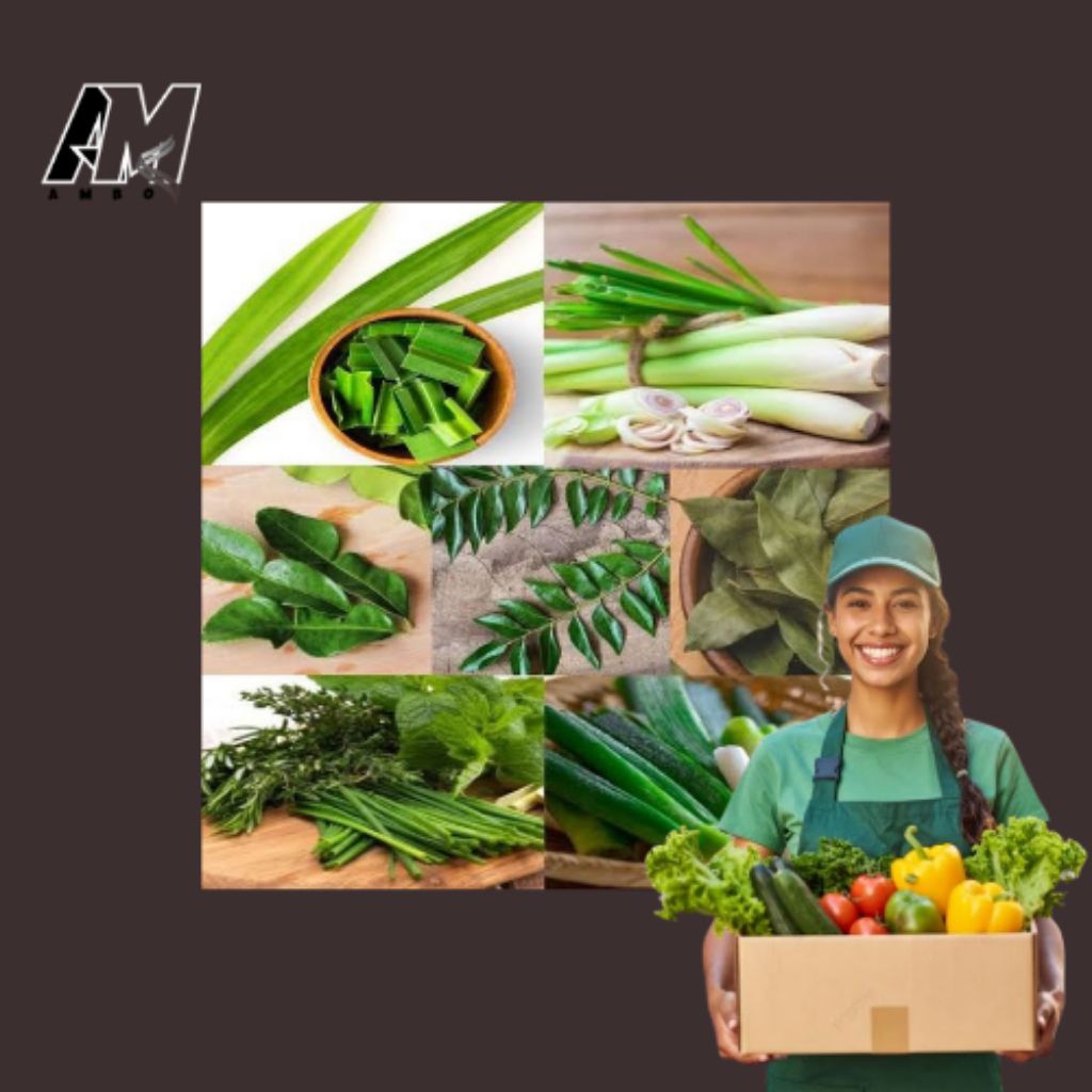 

DAUN DAUNAN BUMBU MASAK SEGAR FRESH KIRIM INSTAN