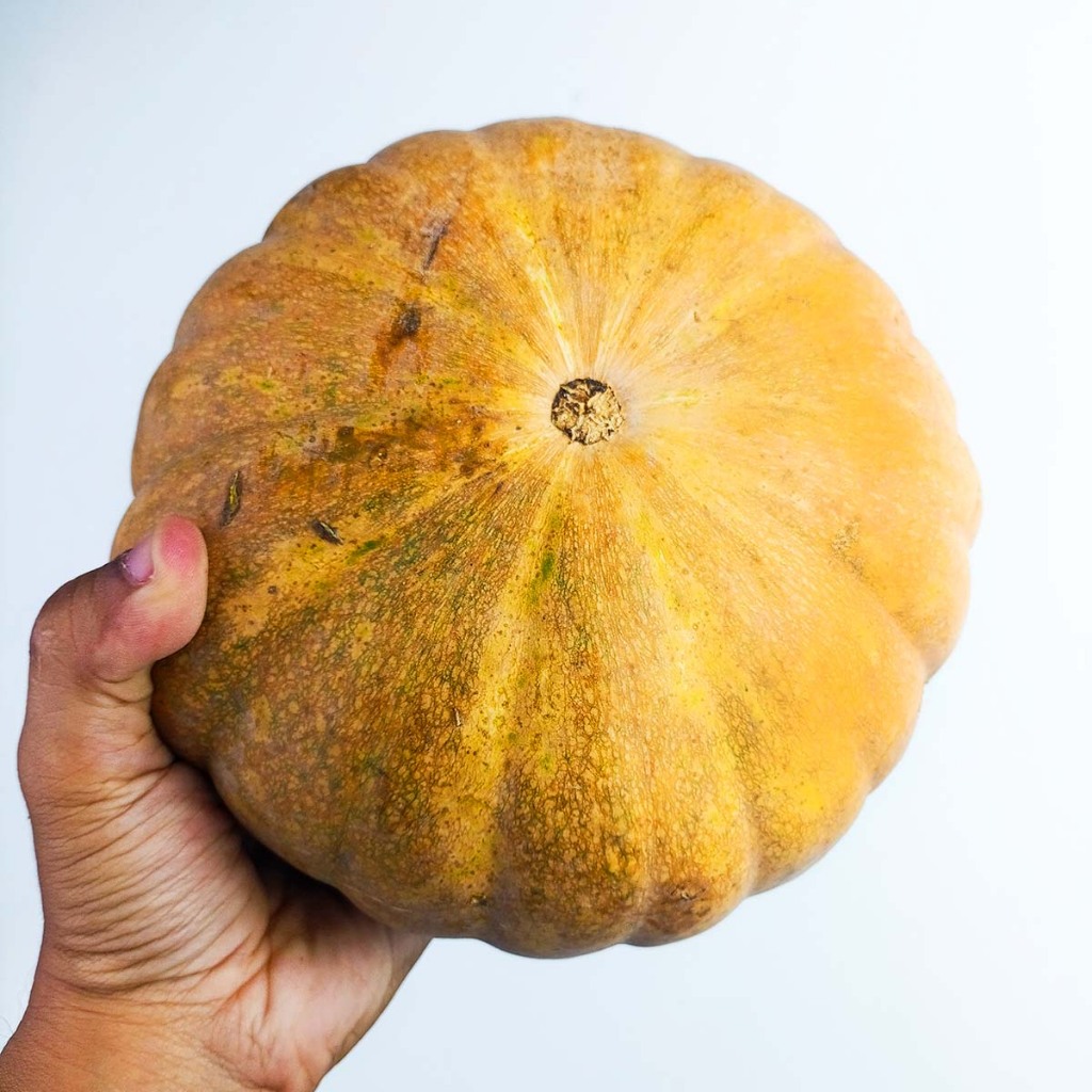 

Labu Kuning / Labu Parang 1 Buah Utuh (±2.5-3Kg)