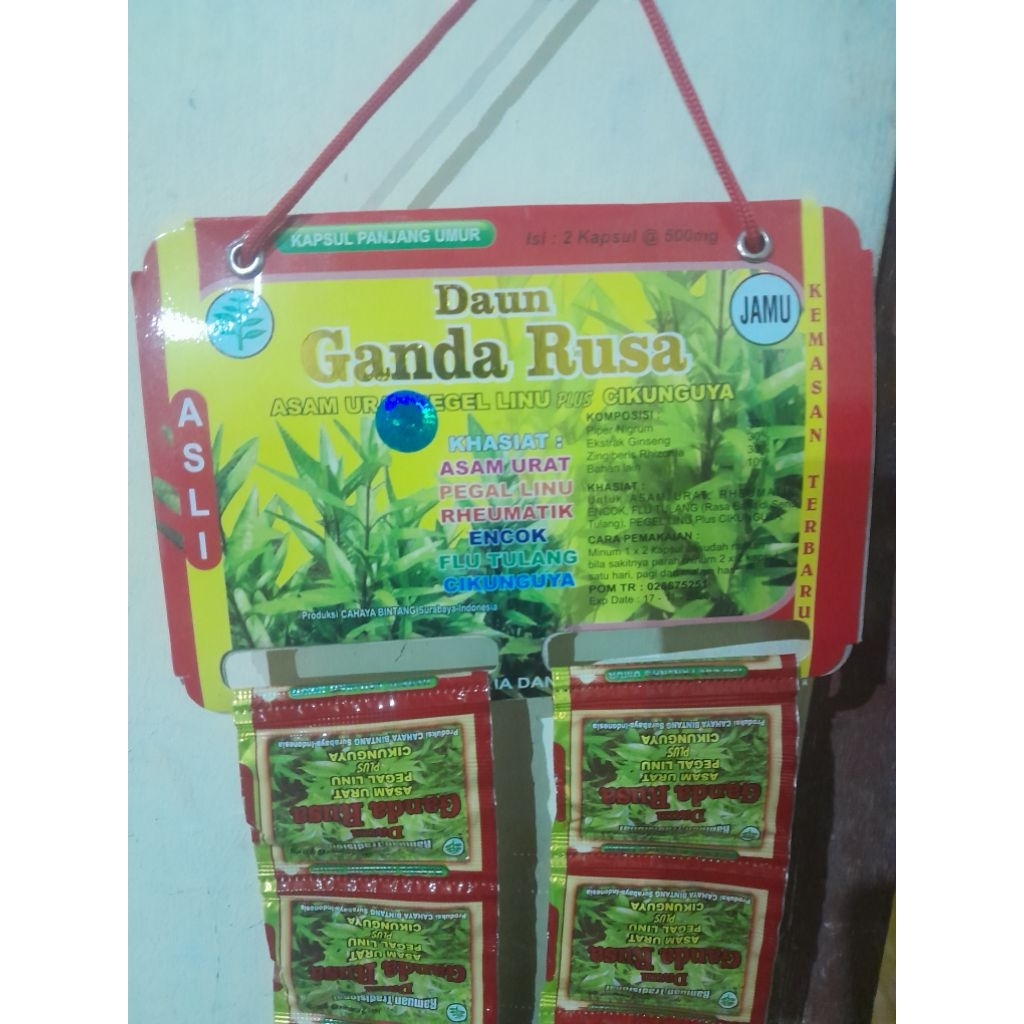 Daun ganda rusa kapsul untuk asam urat dll original isi 20 saset