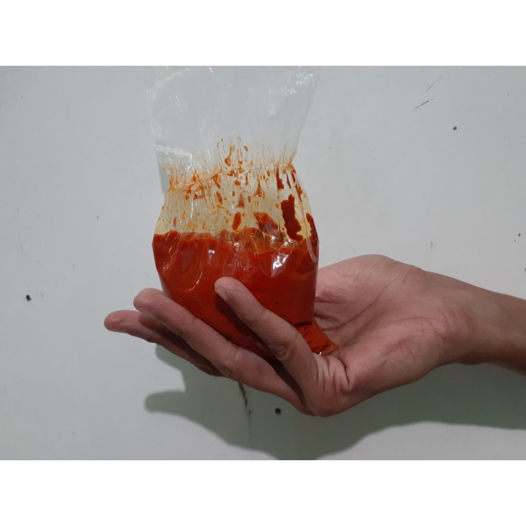 

Bumbu Instan khas minang asli padang lamake 23 Varian