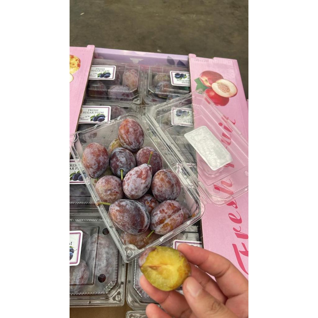 

Sugar Plum China (PACK)