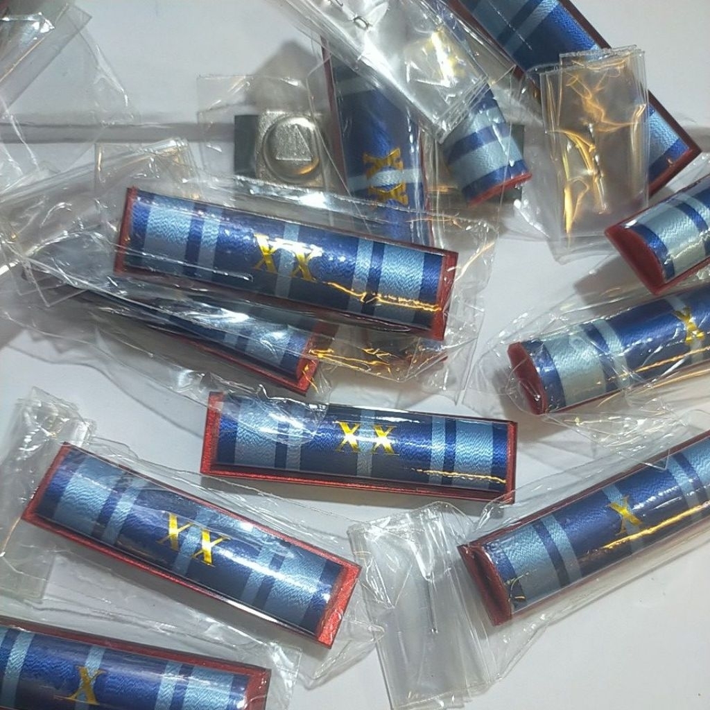 SATYA LENCANA ASN 10 & 20 tahun