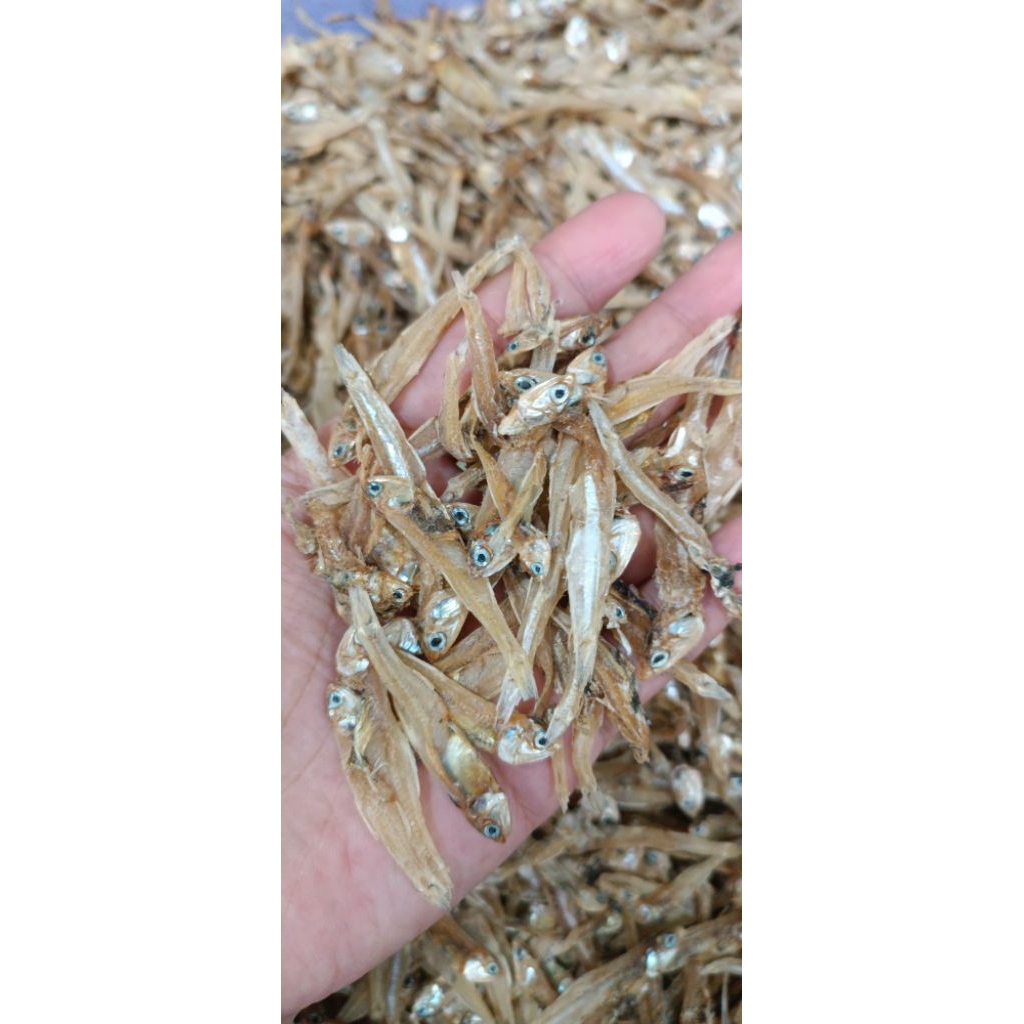 

Teri Tawar Teri Tawar Bunga 100 gr dan 50 gr