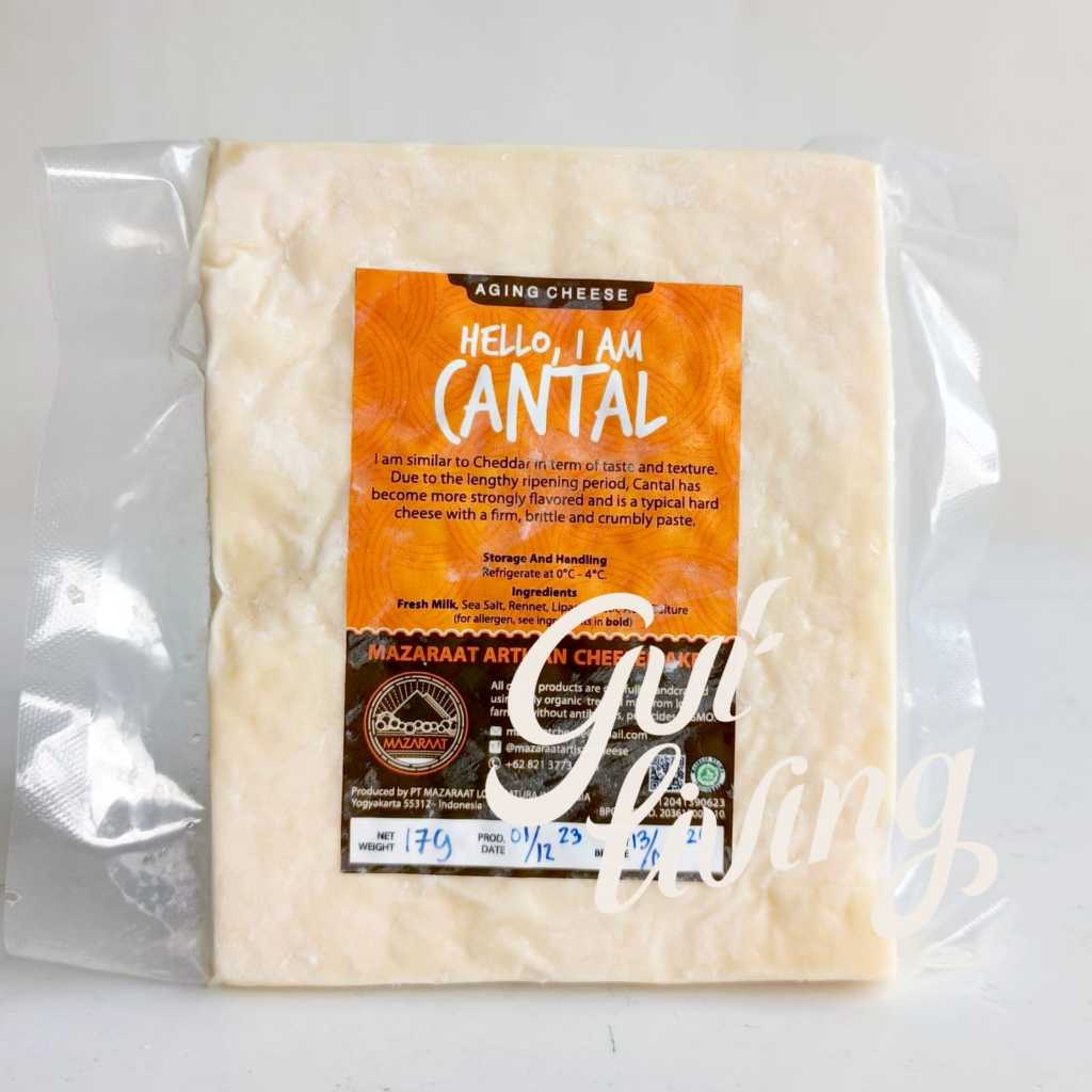 

Keju Cantal Mazaraat Artisan Cheese Natural