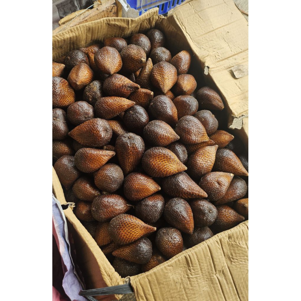 

salak pondoh 500gr