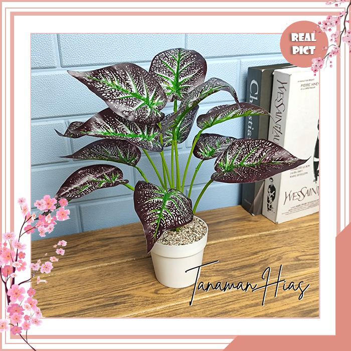 UNICO Pot Bunga Hias Plastik Tanaman Artificial Daun Rambat Kering Dekorasi Daun Talas PBP09 DAUN 1