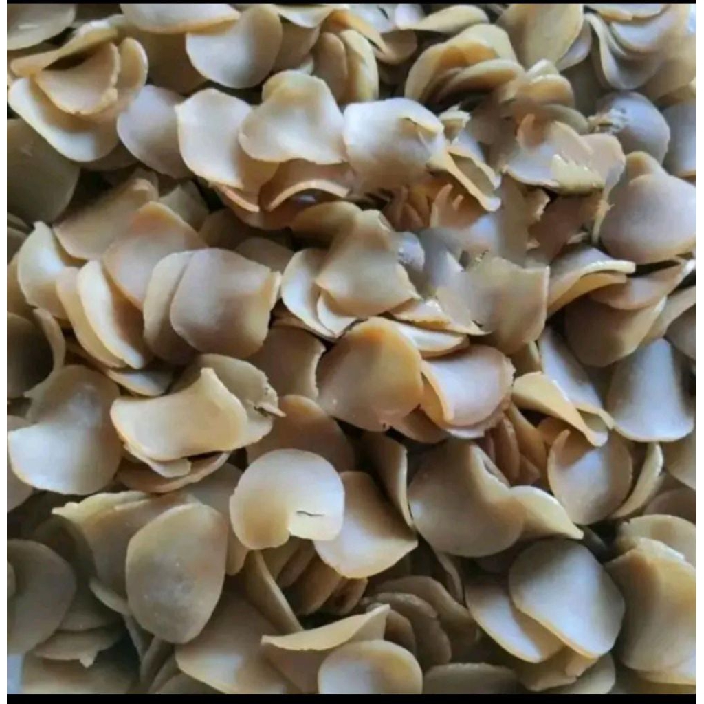 

kerupuk puli has madura