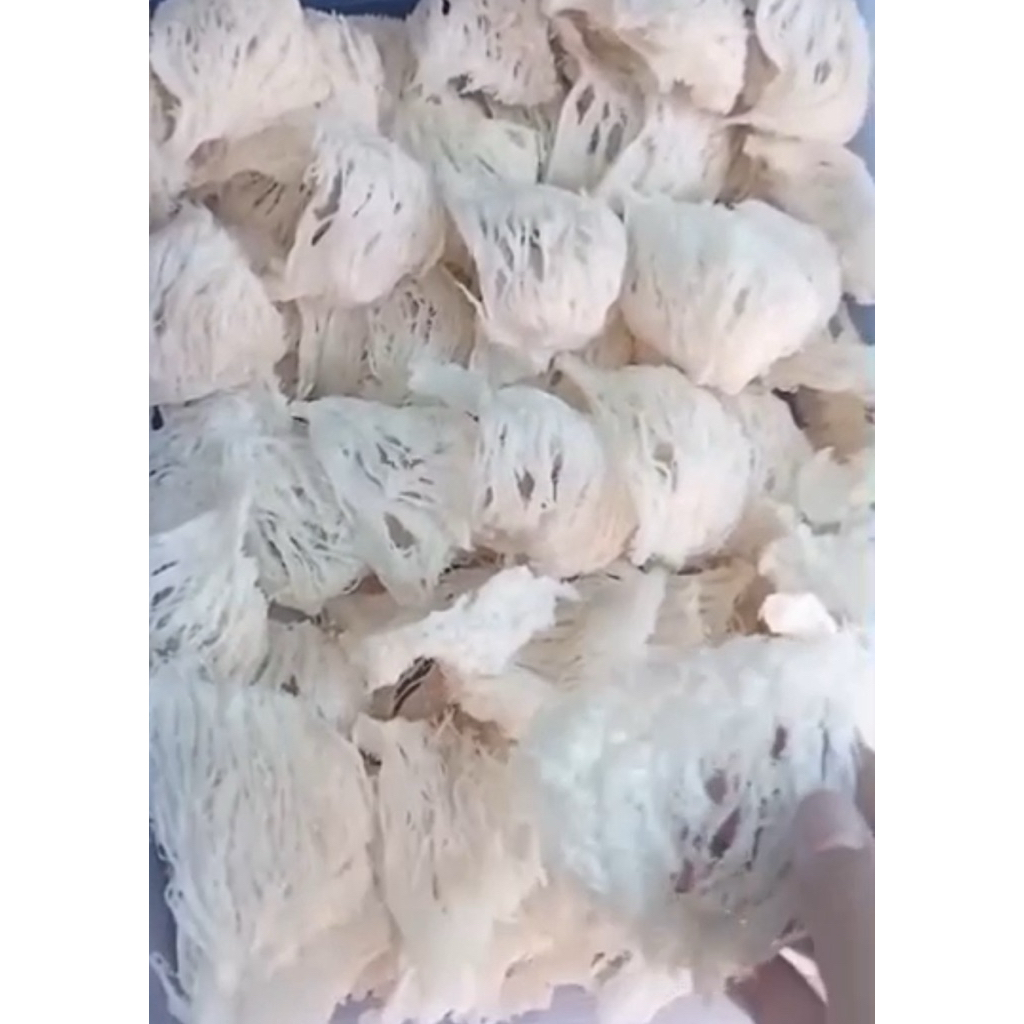 

1 GRAM Patahan Sarang Burung Walet Bersih 100% ORIGINAL Tanpa Pemutih Tanpa Pengawet