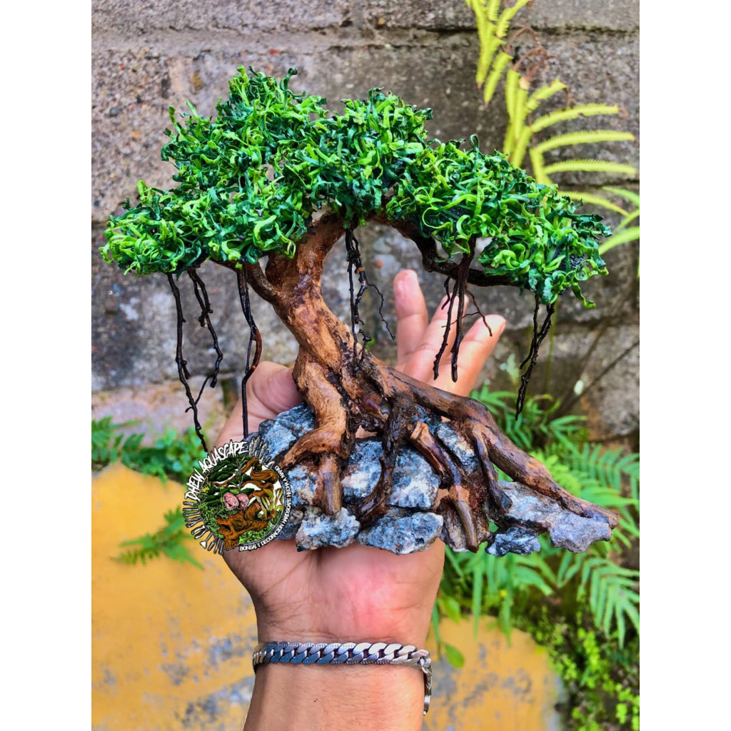 hardscape bonsai mini aquascape akuarium