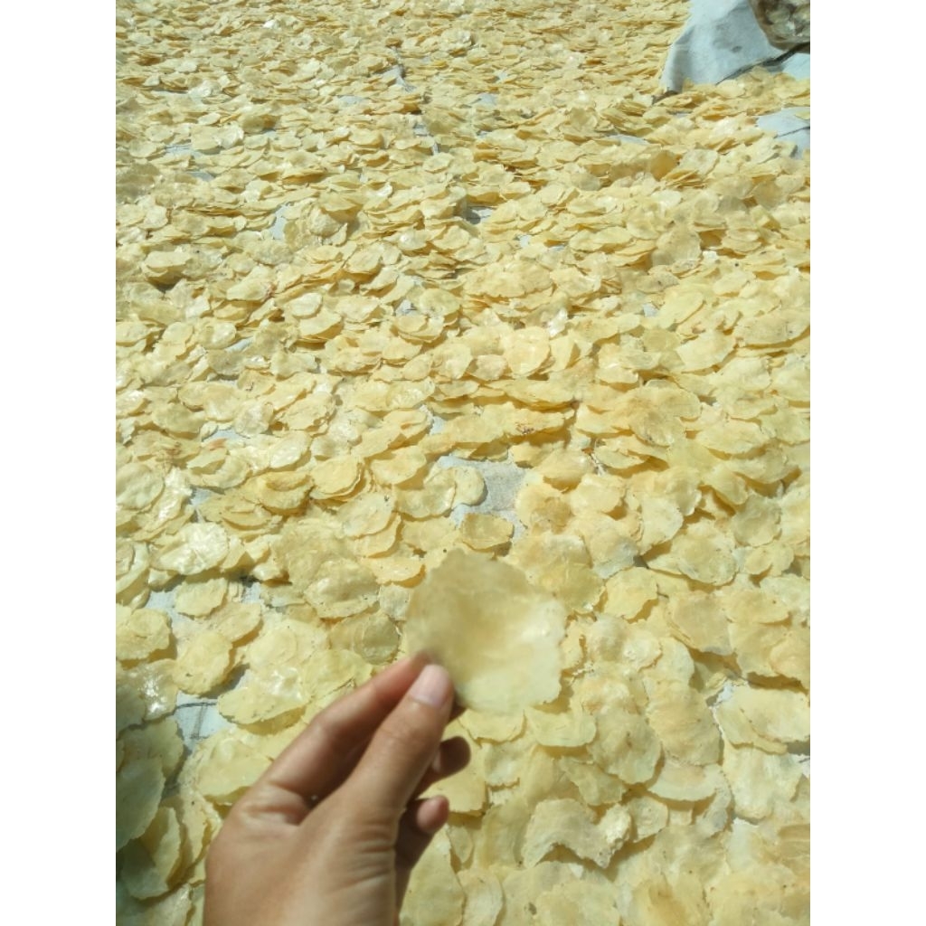 

Emping melinjo gurih