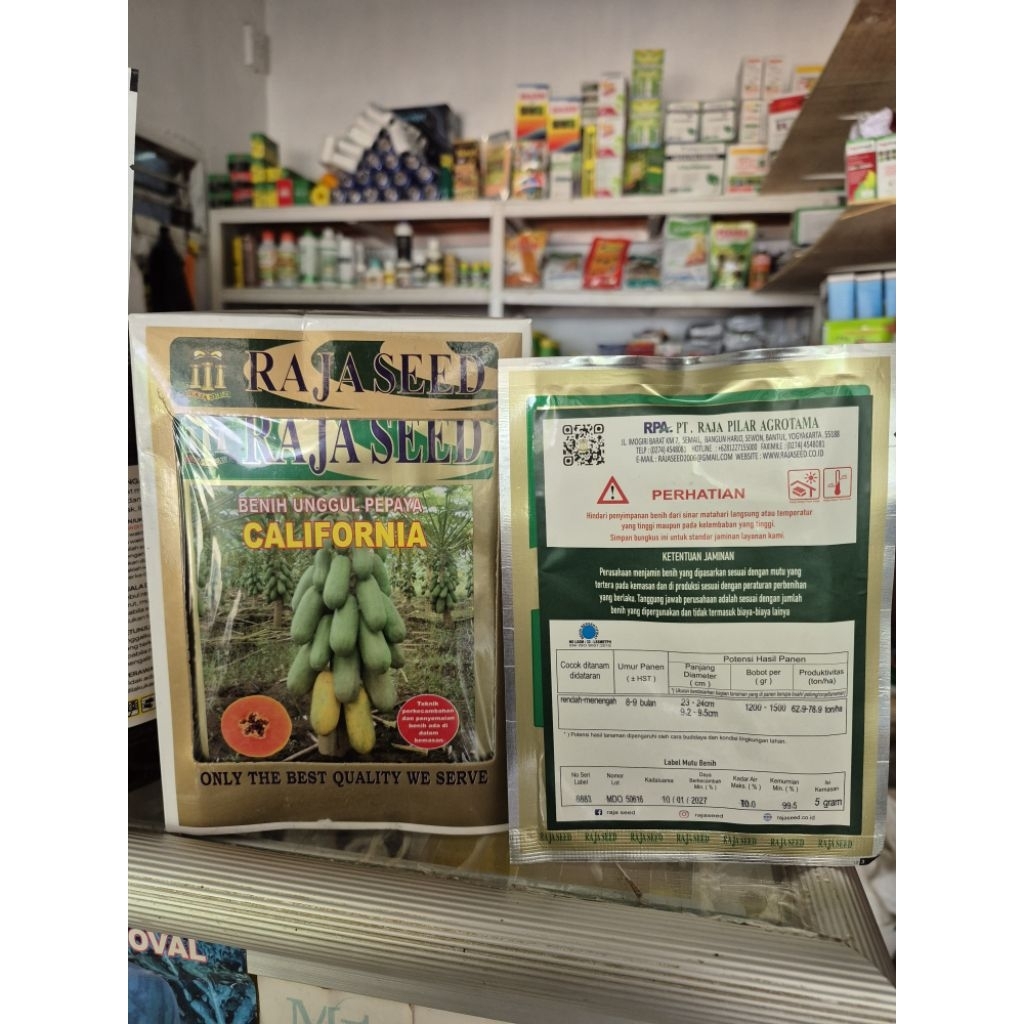 PEPAYA CALIFORNIA benih unggul dari Raja seed kemasan 5gram