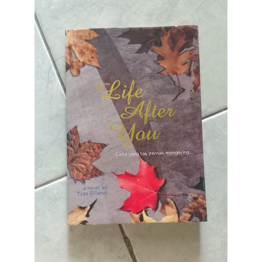 BUKU NOVEL - Life After You