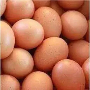 

Telur Ayam Negeri - 500 gram