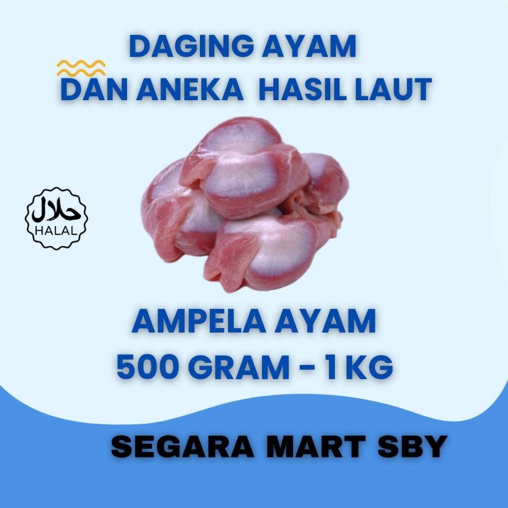 

AMPELA AYAM BERSIH 1 KG || Segara Mart