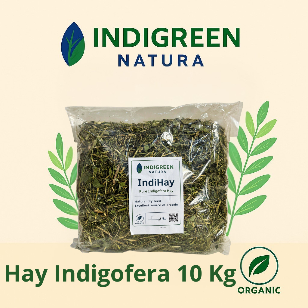Hay Indigofera Kering Pakan Hewan Pakan Ternak Pakan Kambing Sapi Domba Kelinci - IndiHay 10 Kg
