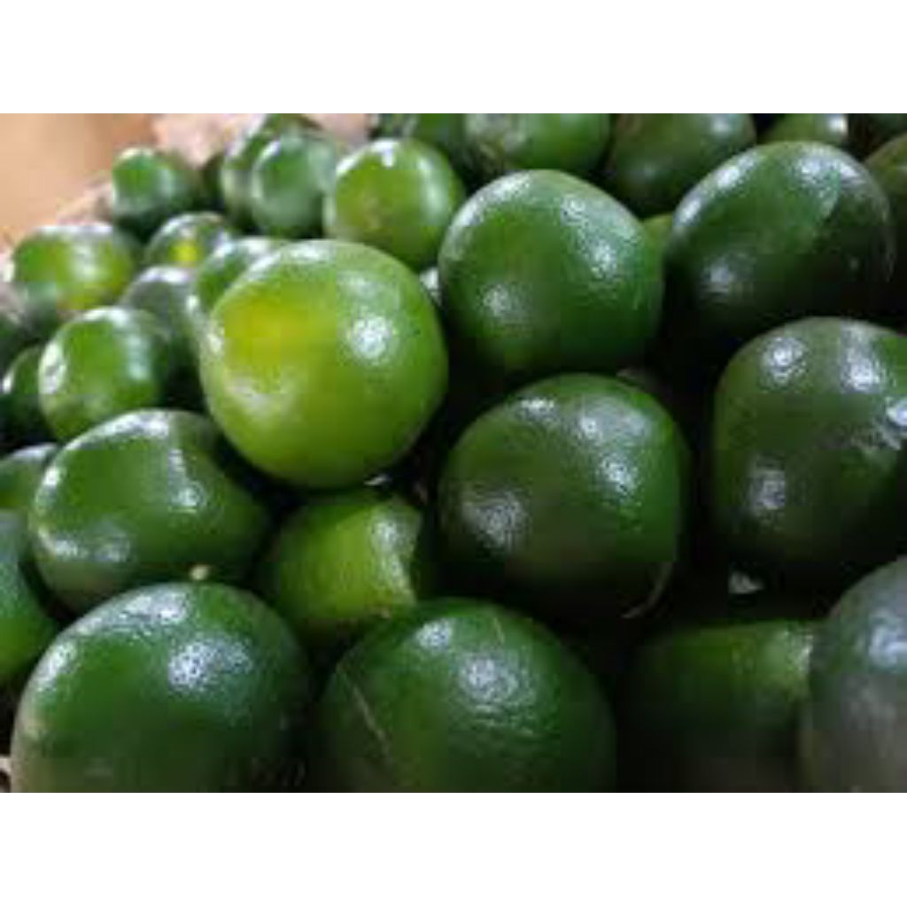 Jeruk Peras Jember 1kg