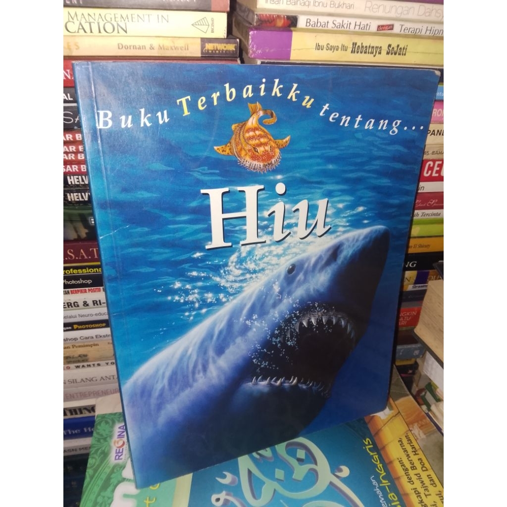 buku terbaikku tentang hiu