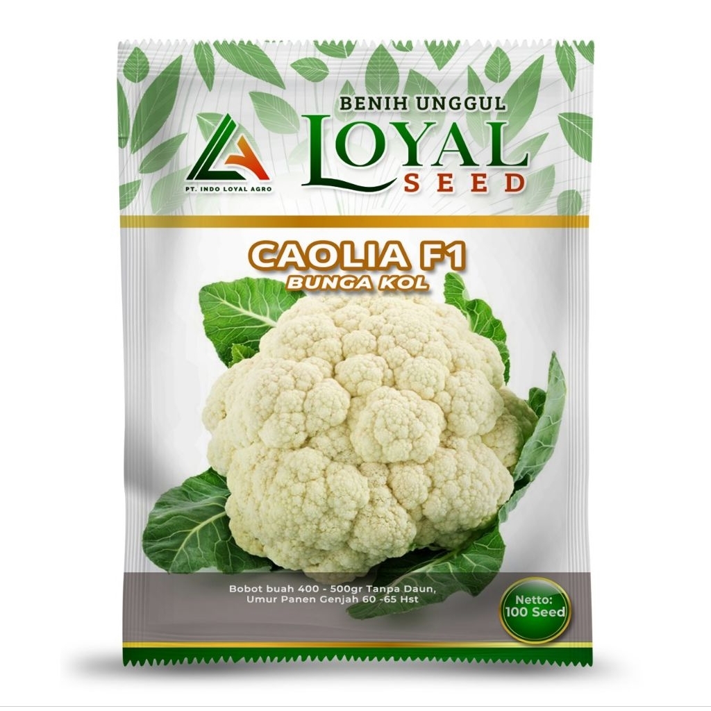 

BUNGA KOL CAOLIA KEMASAN 100 SEED