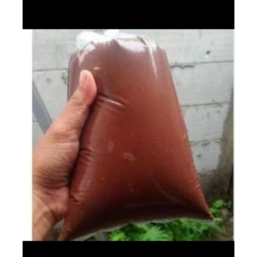 

Coklat cair kiloan 1kg