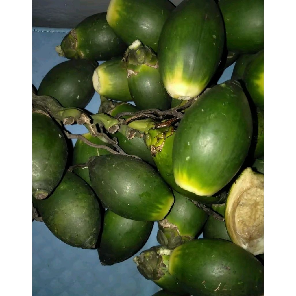 

jame /Pinang muda segar berkualitas